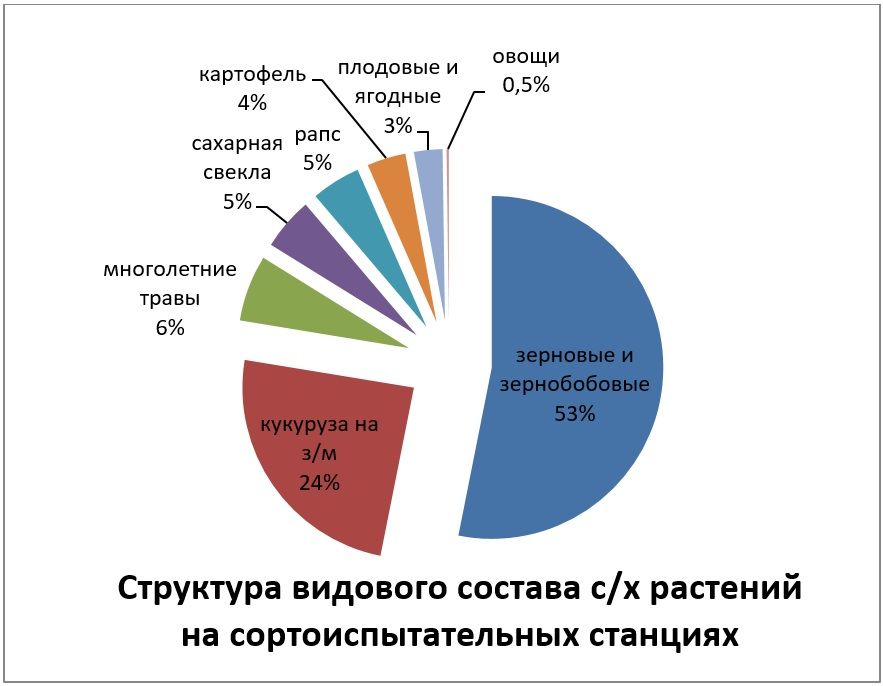 график